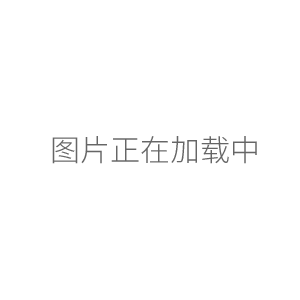 上海昕瑞散射光濁度儀WGZ-1A